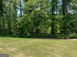 14 Candleberry Way Sharpsburg - Photo 48
