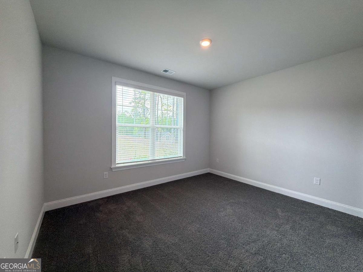 3382 Milan Court Douglasville - Photo 35