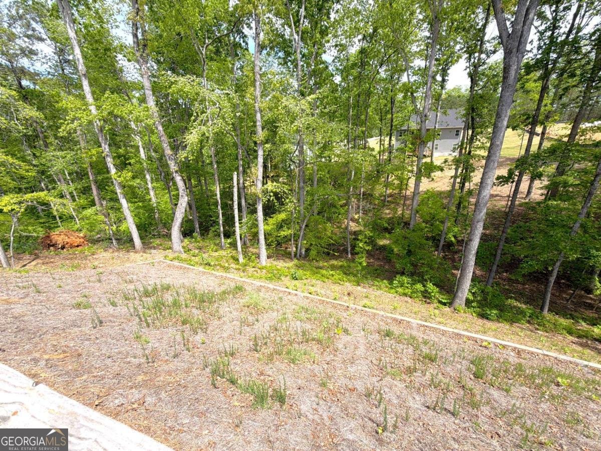 3382 Milan Court Douglasville - Photo 39