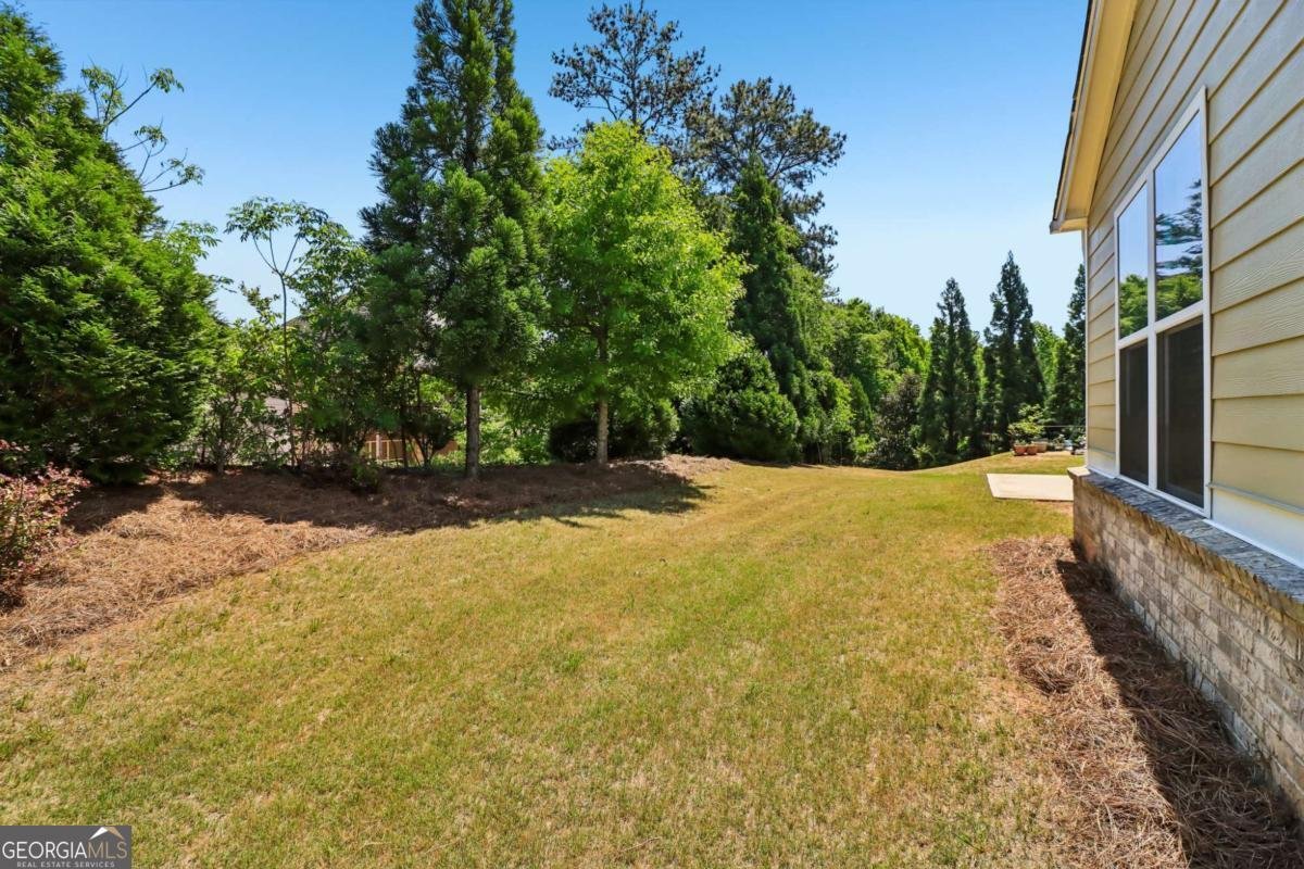 3507 Ashby Pond Lane Duluth - Photo 47