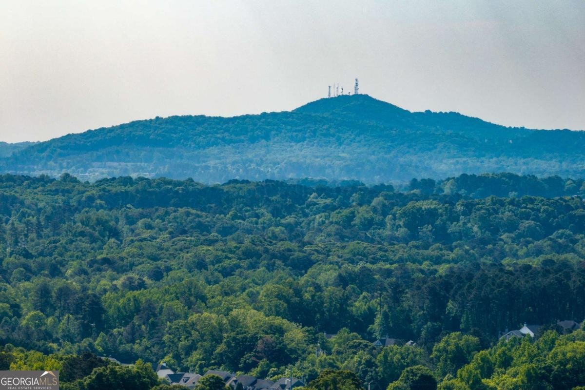 1300 Sapelo Street Woodstock - Photo 16