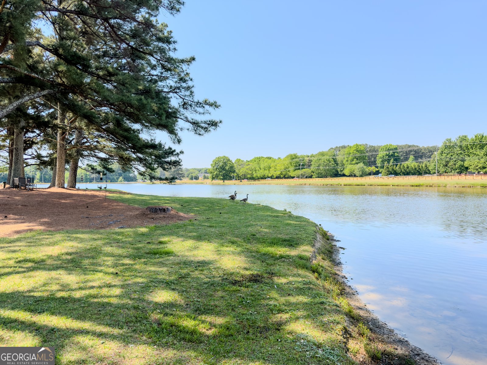 540 Warm Springs Court Loganville - Photo 69