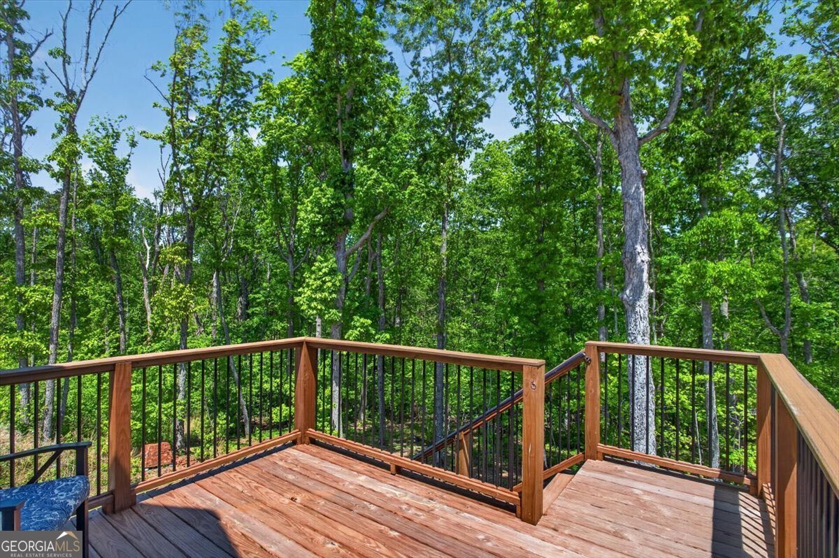 800 Garland Mountain Trail Waleska - Photo 64