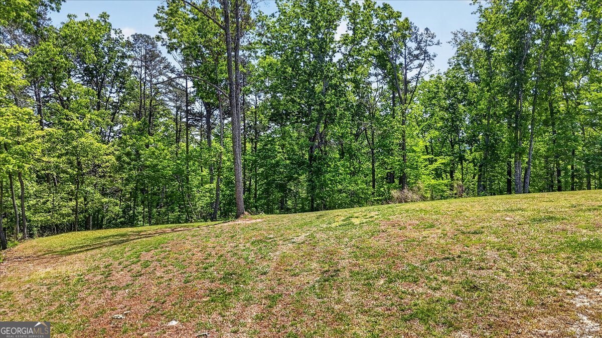 800 Garland Mountain Trail Waleska - Photo 66
