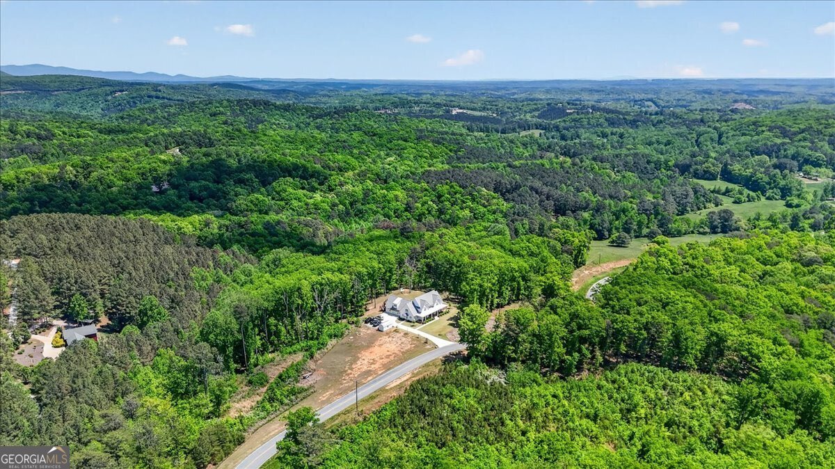 800 Garland Mountain Trail Waleska - Photo 68