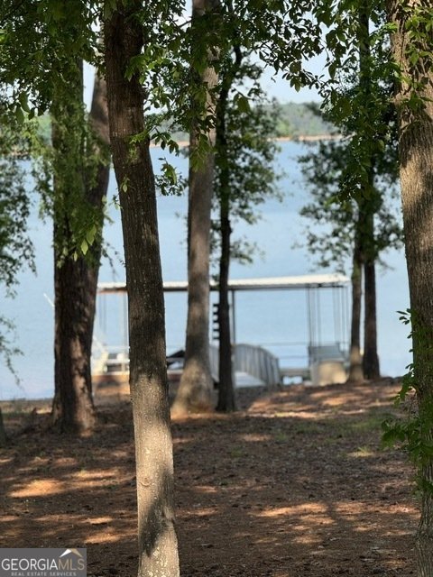 4350 Key Club Drive Elberton - Photo 36