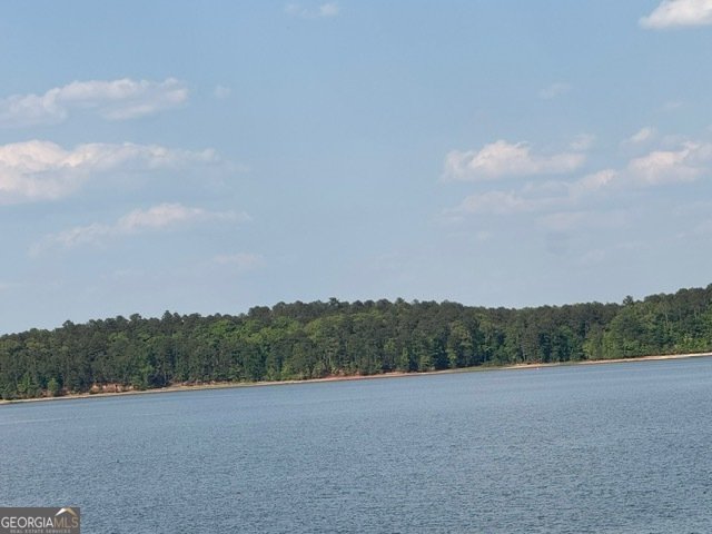4350 Key Club Drive Elberton - Photo 37