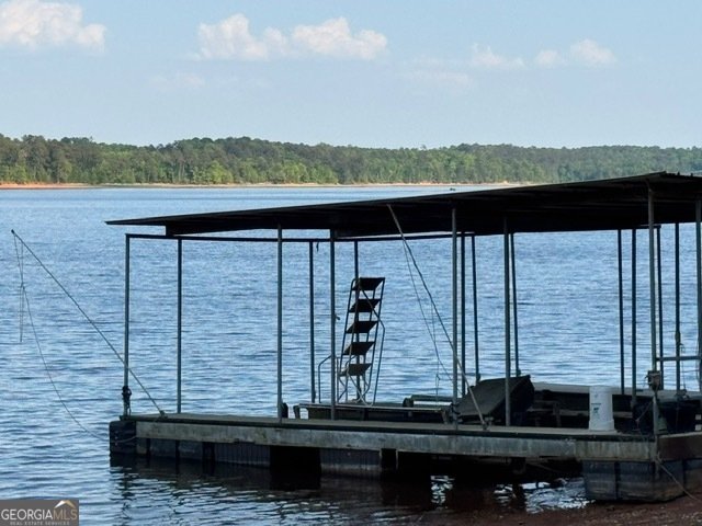 4350 Key Club Drive Elberton - Photo 38