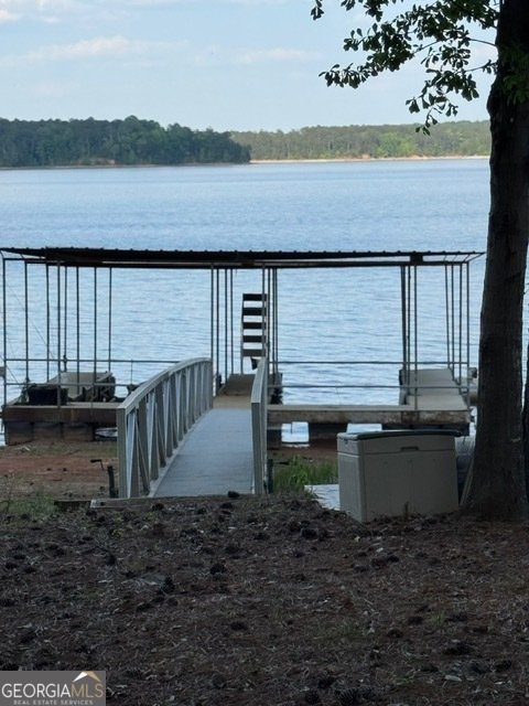 4350 Key Club Drive Elberton - Photo 39