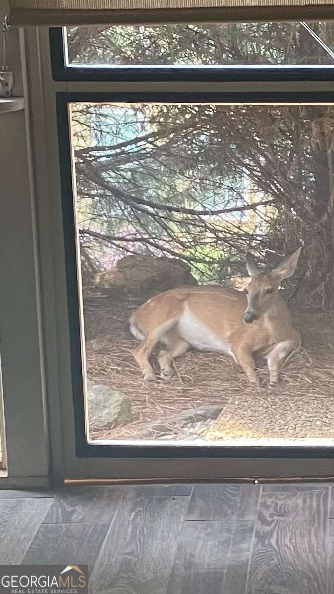 3650 Orchard Circle Watkinsville - Photo 42