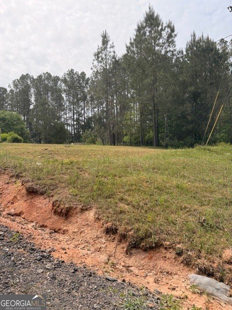 1544 Cordell Rd Bowman - Photo 11