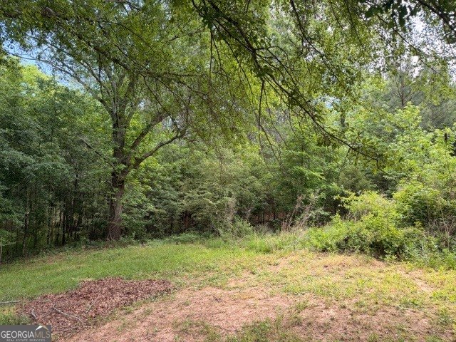 1544 Cordell Rd Bowman - Photo 12