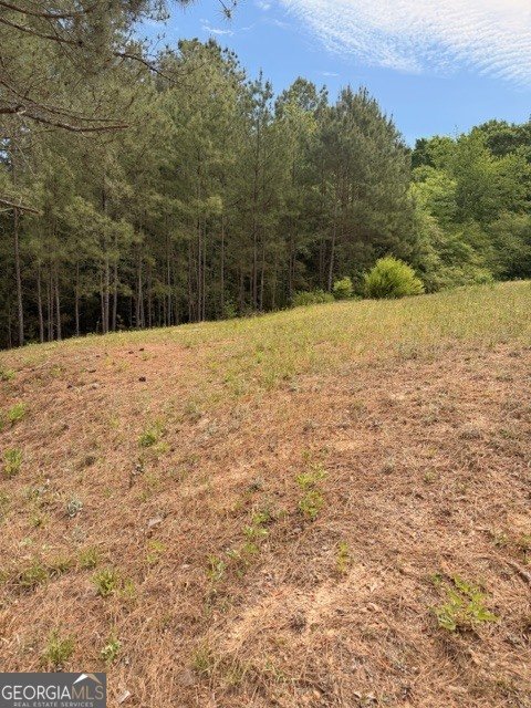 1544 Cordell Rd Bowman - Photo 9