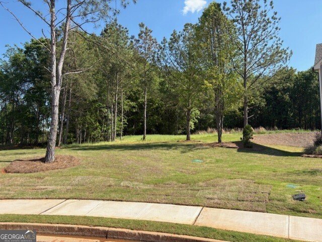 1041 Reagan Drive Madison - Photo 29