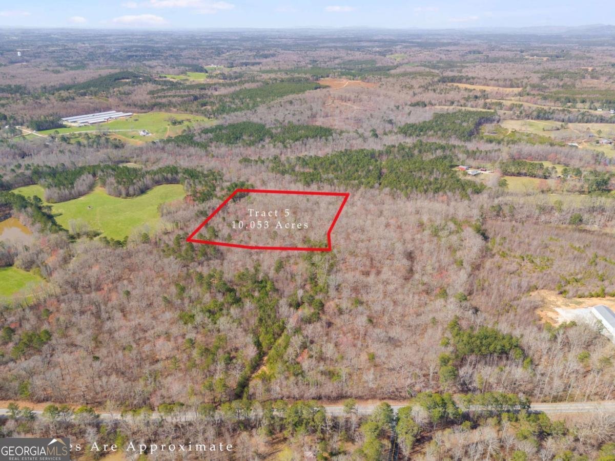 TRACT5 Georgia Highway 100 Buchanan - Photo 37