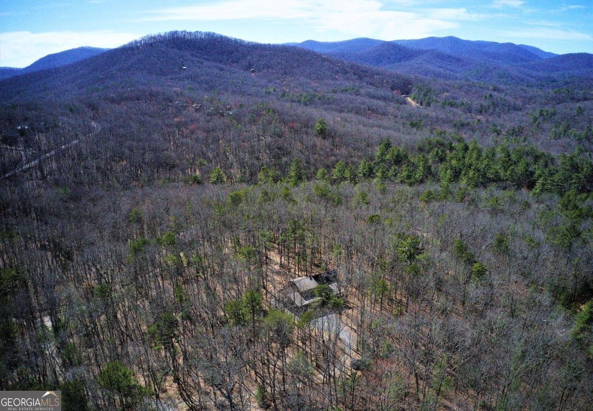 150 Laurel Trace Blue Ridge - Photo 12