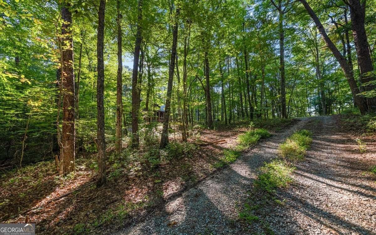 150 Laurel Trace Blue Ridge - Photo 38