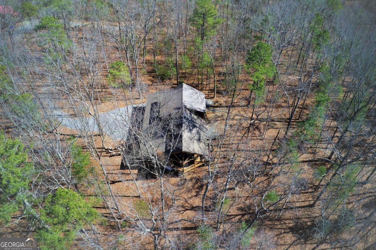 150 Laurel Trace Blue Ridge - Photo 39