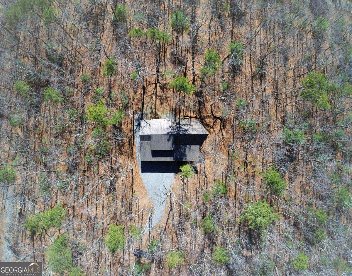 150 Laurel Trace Blue Ridge - Photo 40