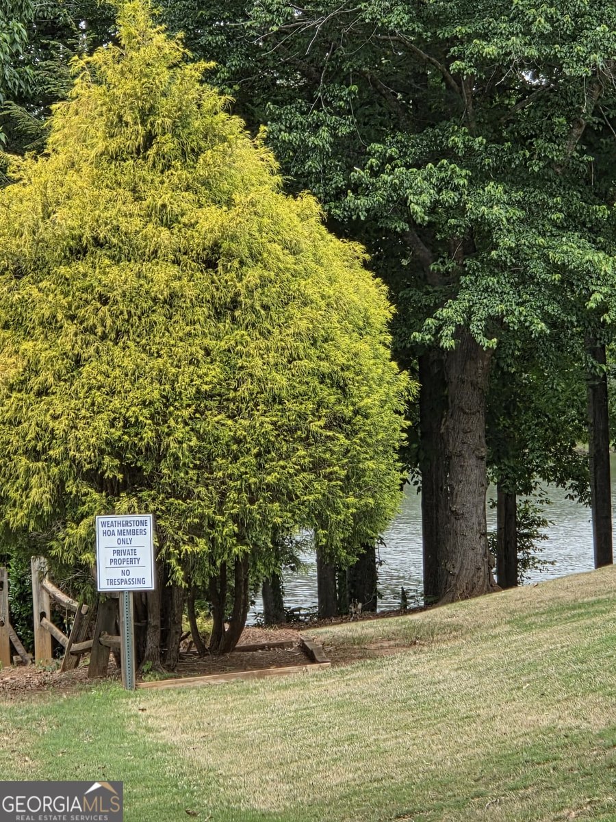 2355 Pemberton Point Buford - Photo 50