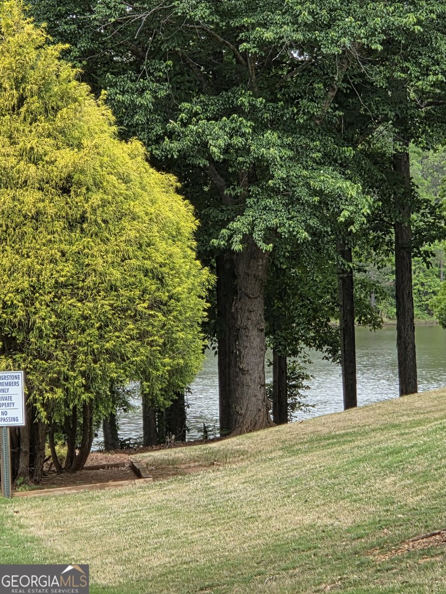 2355 Pemberton Point Buford - Photo 51