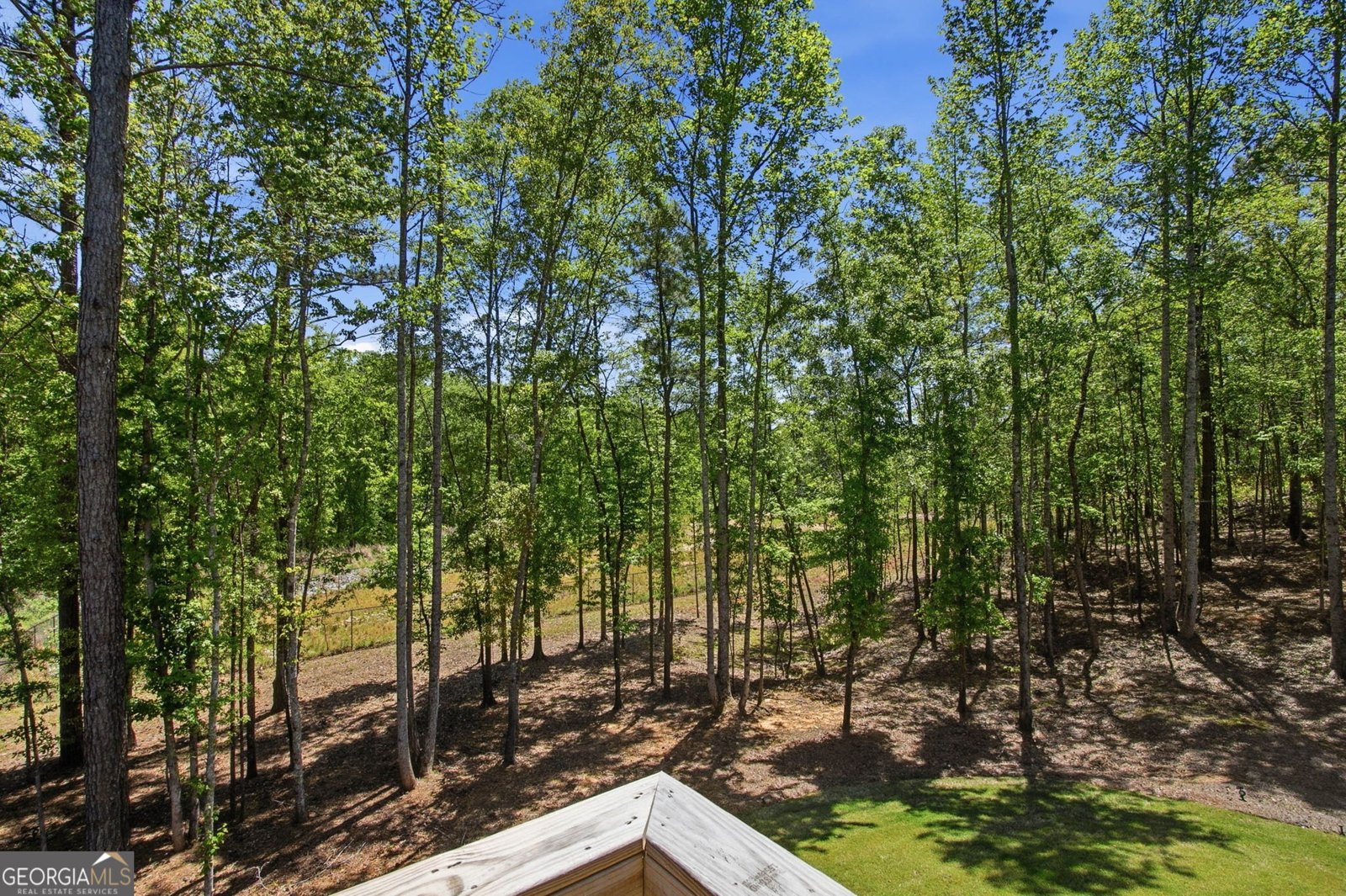 25 Timber Trace Newnan - Photo 81