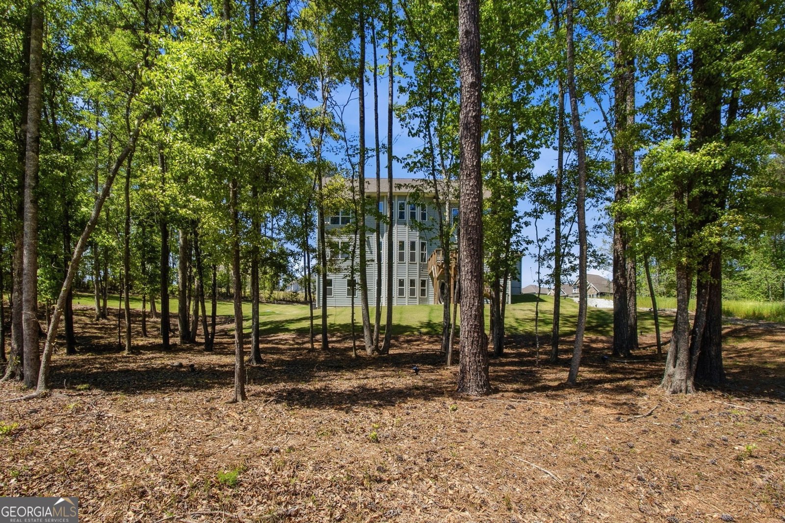 25 Timber Trace Newnan - Photo 87