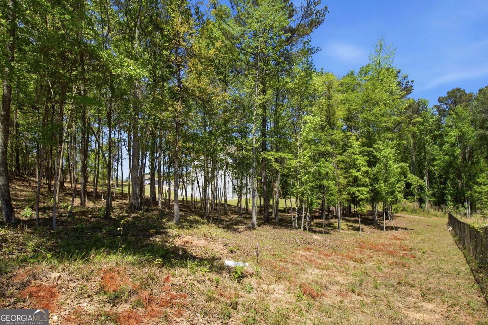 25 Timber Trace Newnan - Photo 88