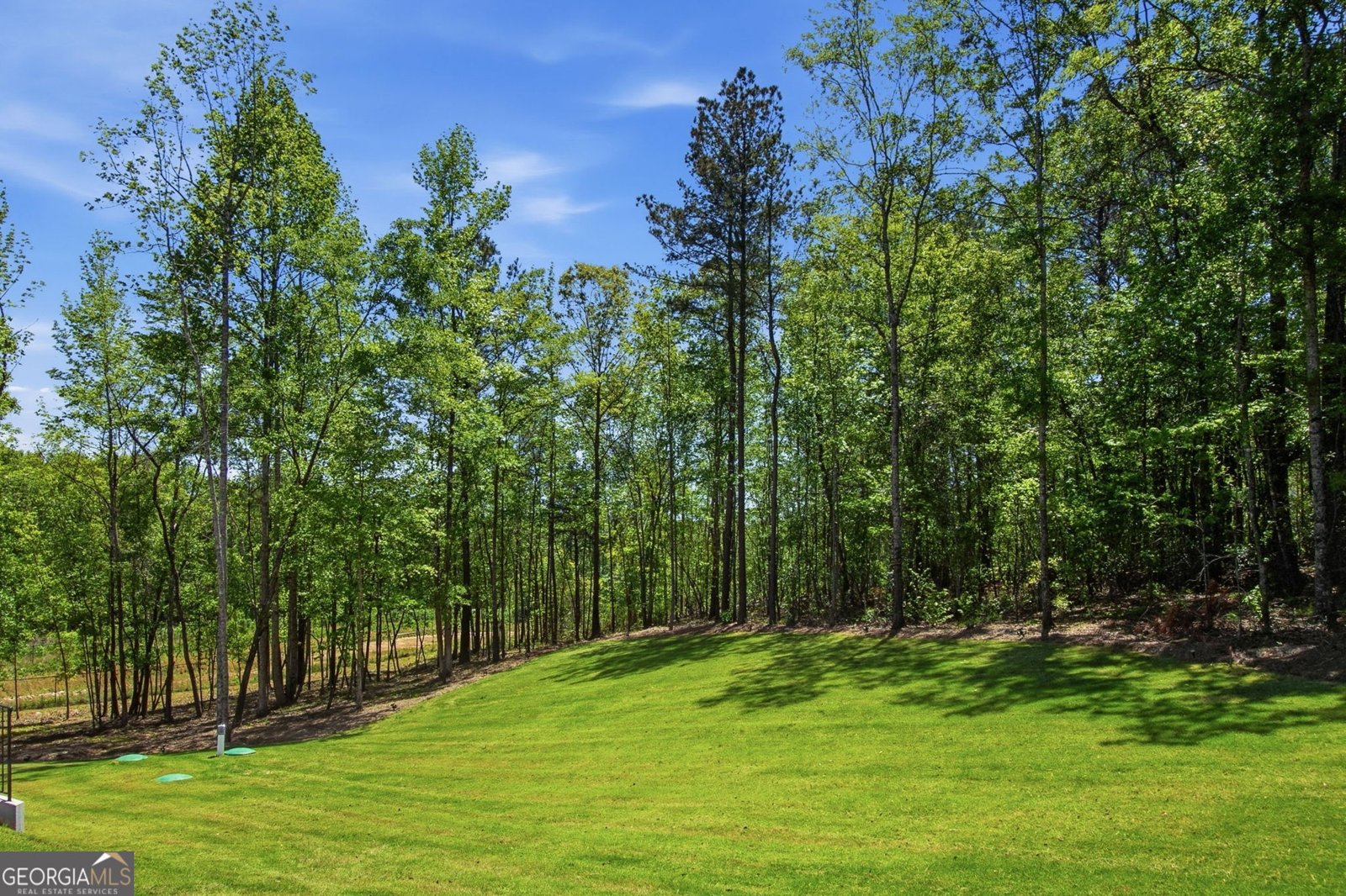 25 Timber Trace Newnan - Photo 89