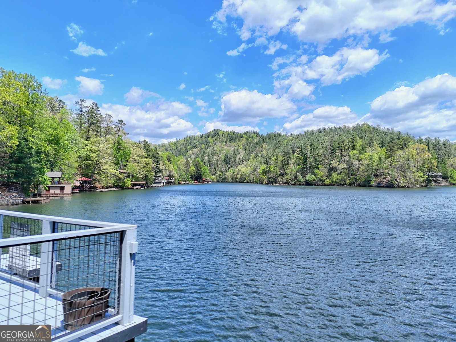 418 Vickers Road Clayton - Photo 64