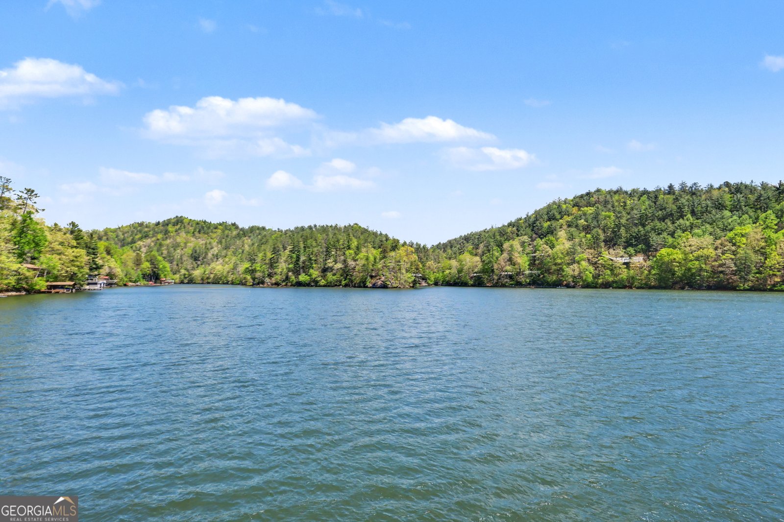 418 Vickers Road Clayton - Photo 65