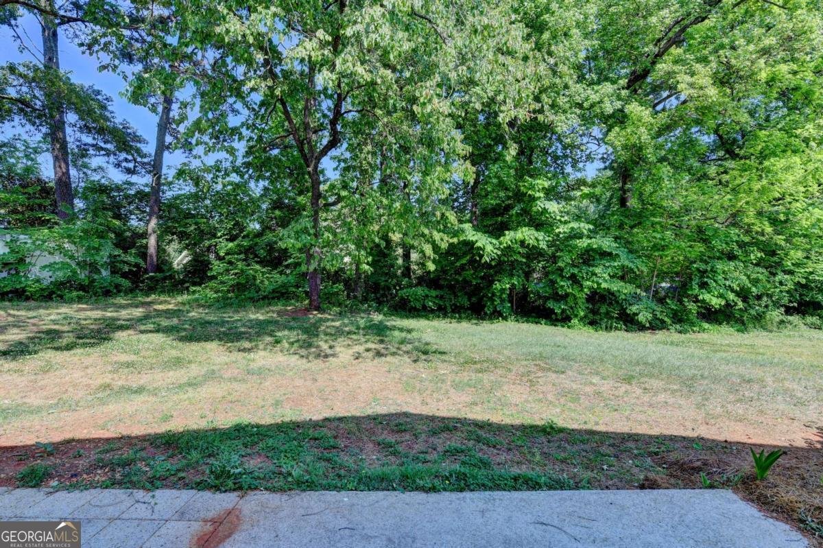 1421 Willow Bend Drive Snellville - Photo 44