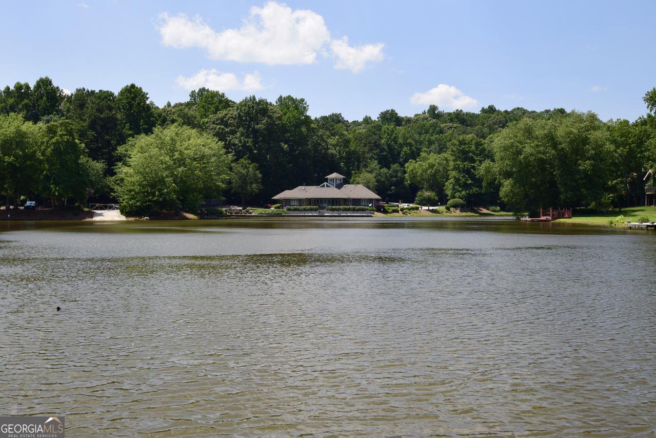 445 Clearlake Place Stone Mountain - Photo 57
