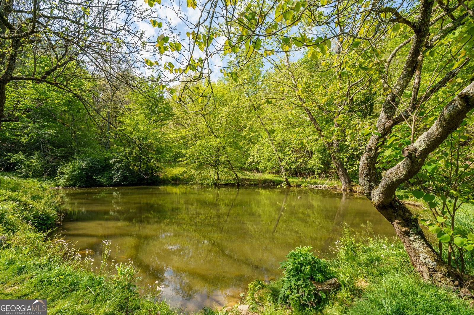 215 Murphy Lane Mineral Bluff - Photo 10