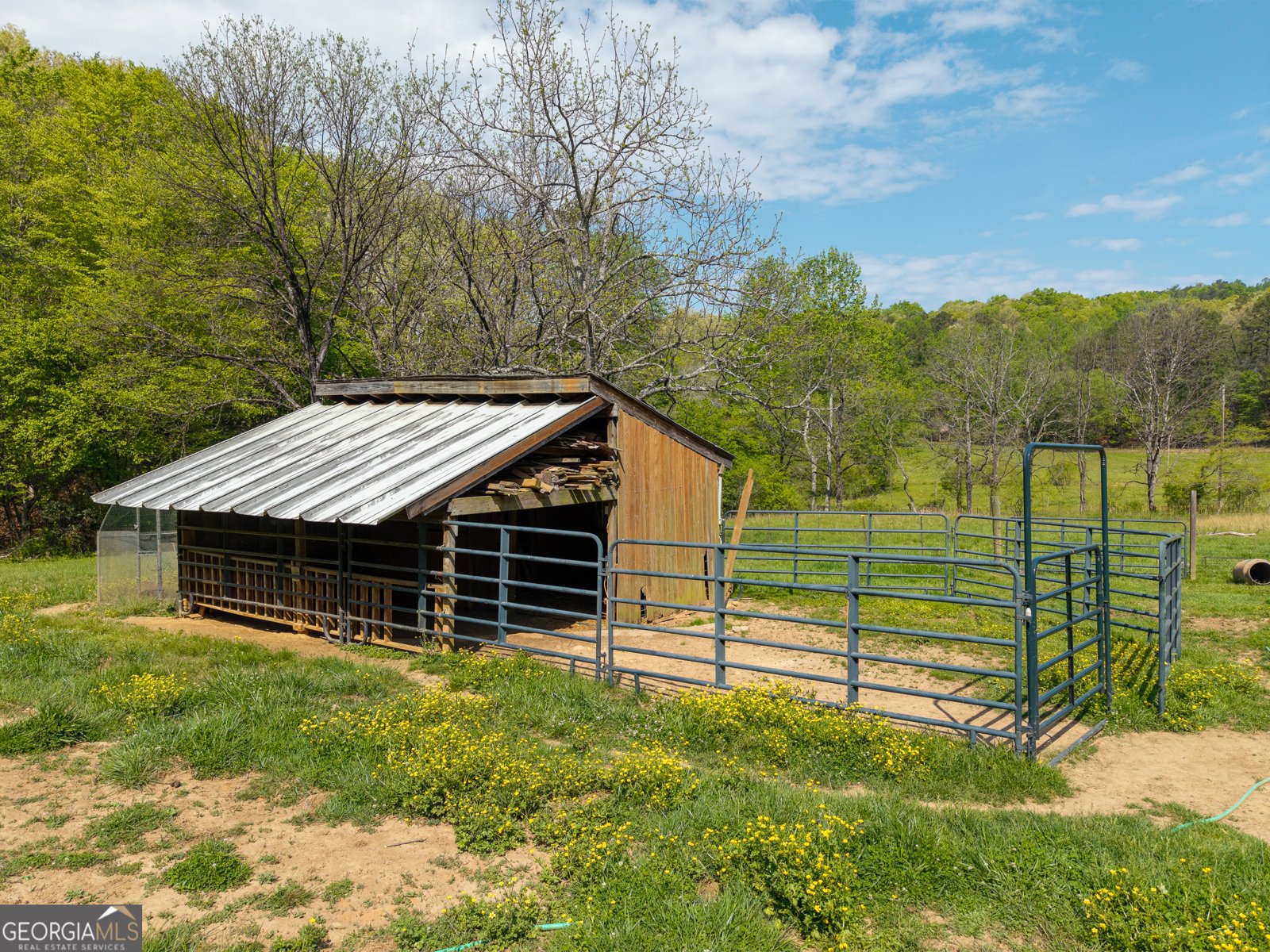 215 Murphy Lane Mineral Bluff - Photo 13