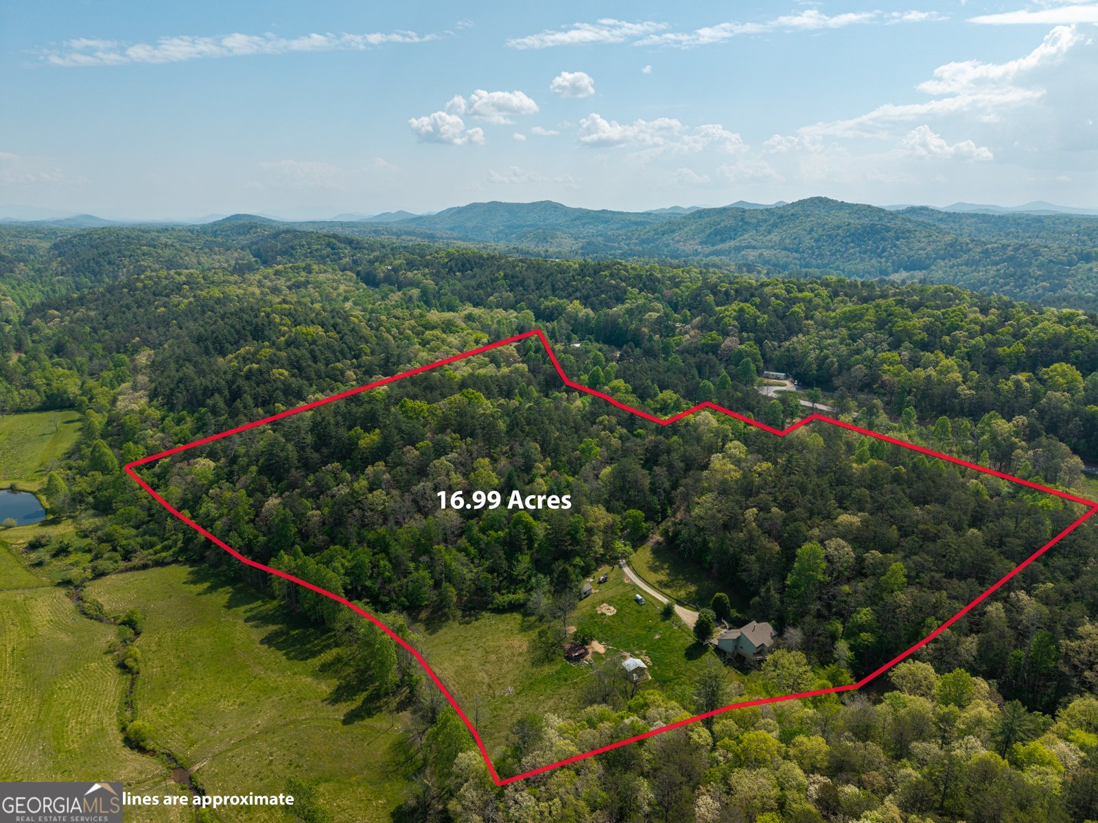 215 Murphy Lane Mineral Bluff - Photo 14