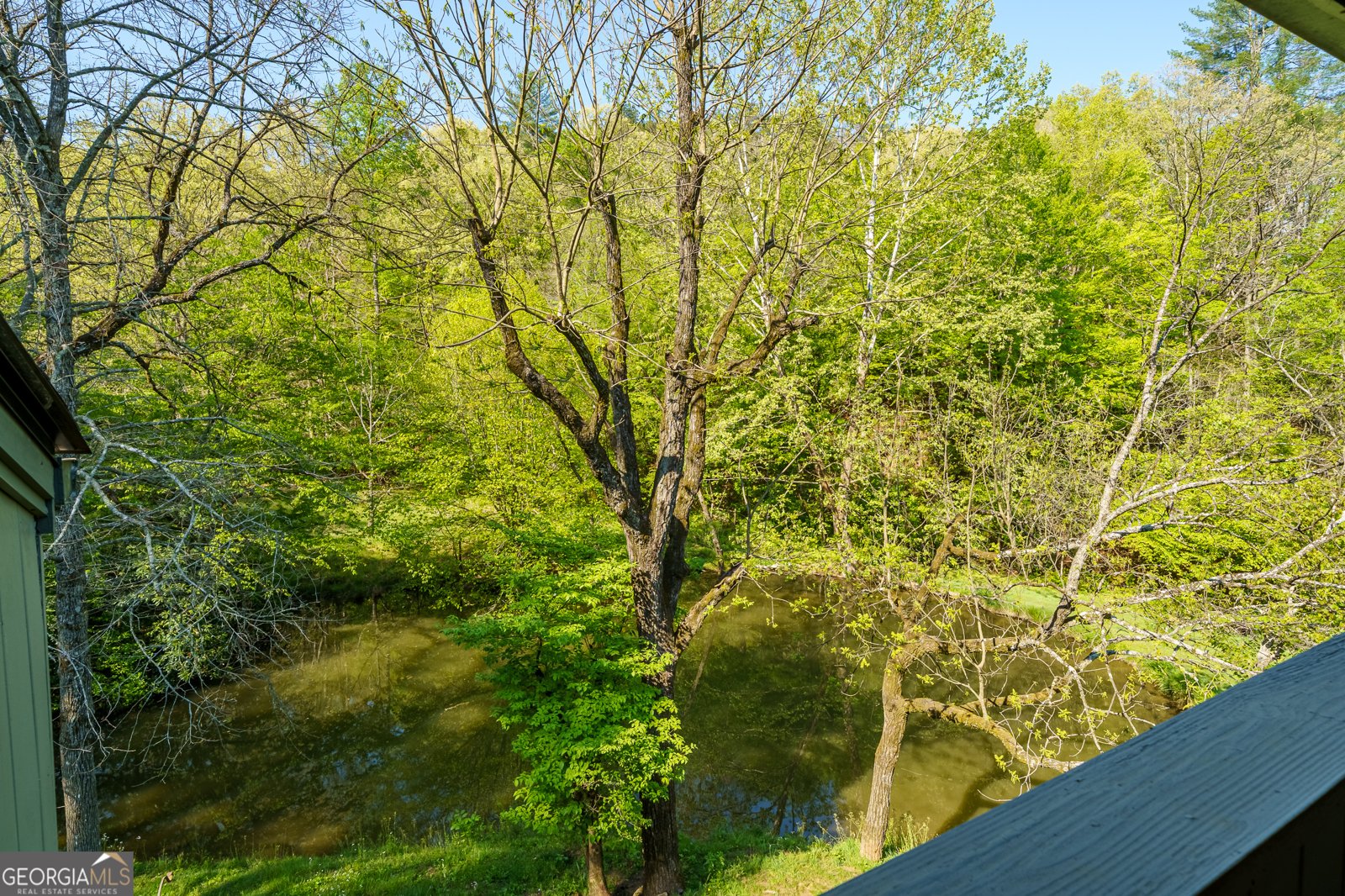 215 Murphy Lane Mineral Bluff - Photo 36