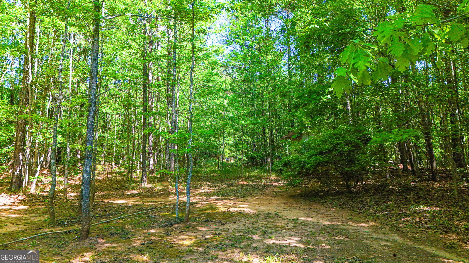 485 Natures Trail Forsyth - Photo 100