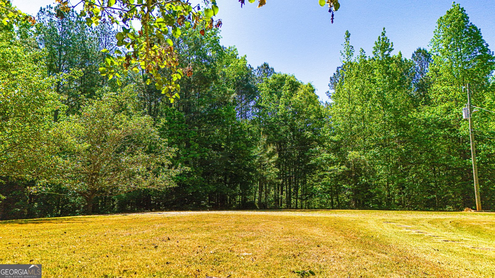 485 Natures Trail Forsyth - Photo 102