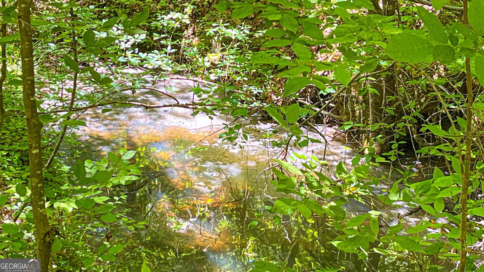 485 Natures Trail Forsyth - Photo 107