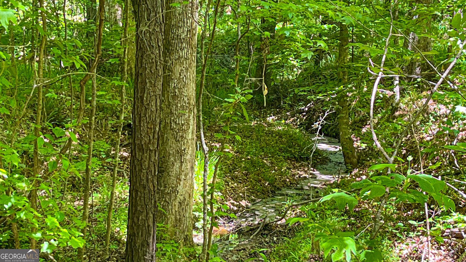 485 Natures Trail Forsyth - Photo 108