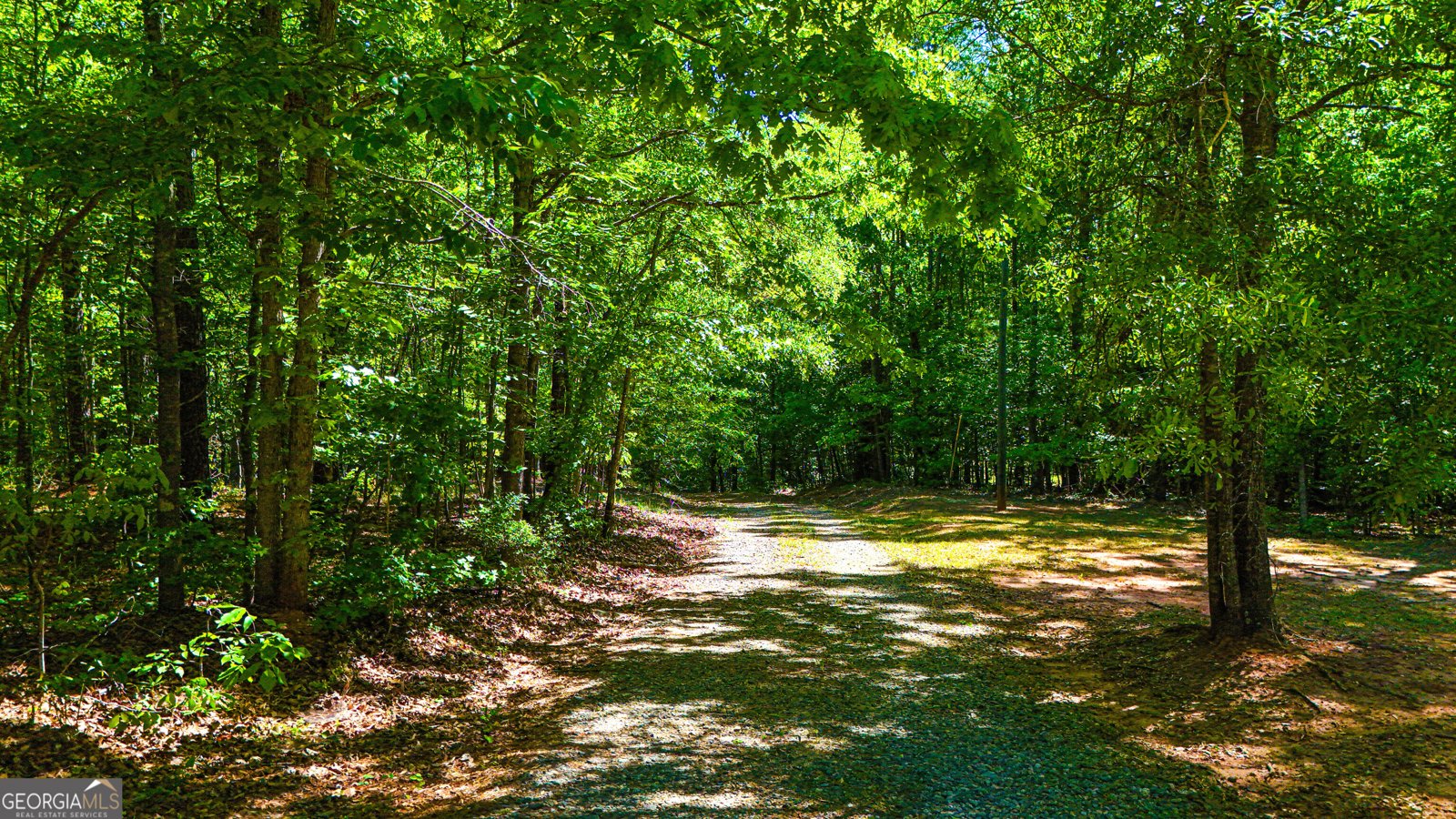 485 Natures Trail Forsyth - Photo 111
