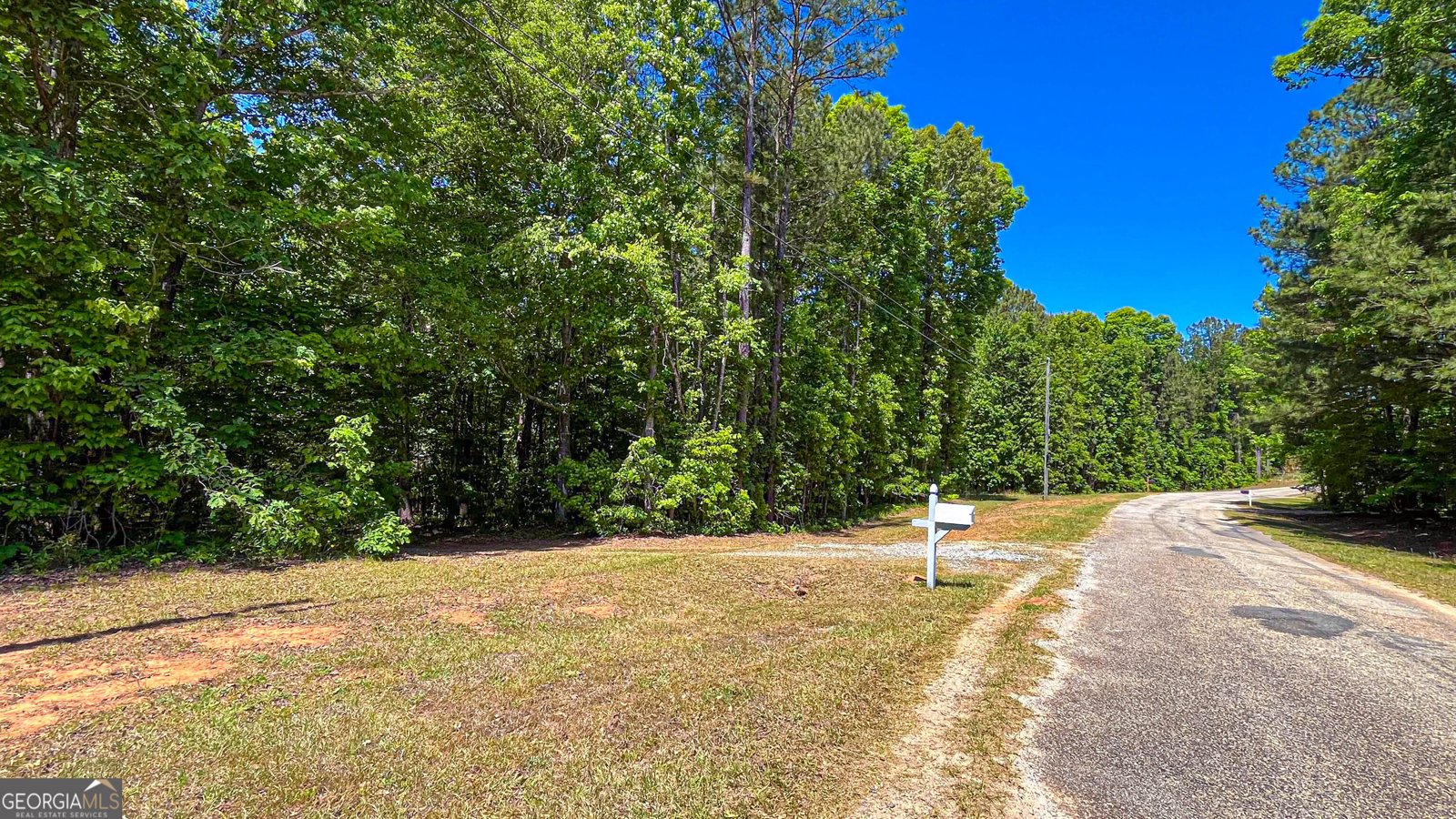485 Natures Trail Forsyth - Photo 112