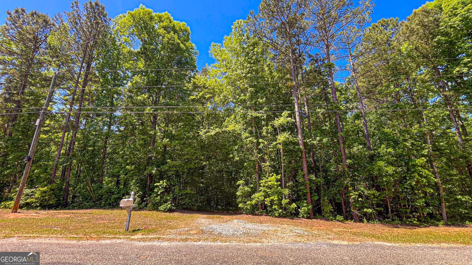 485 Natures Trail Forsyth - Photo 113