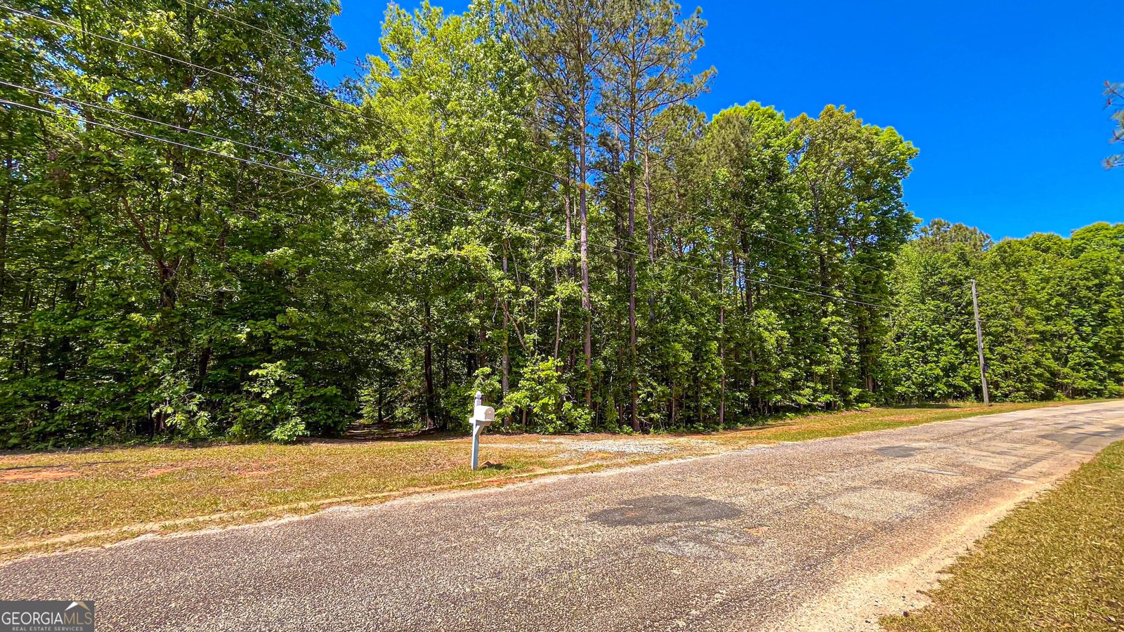 485 Natures Trail Forsyth - Photo 114