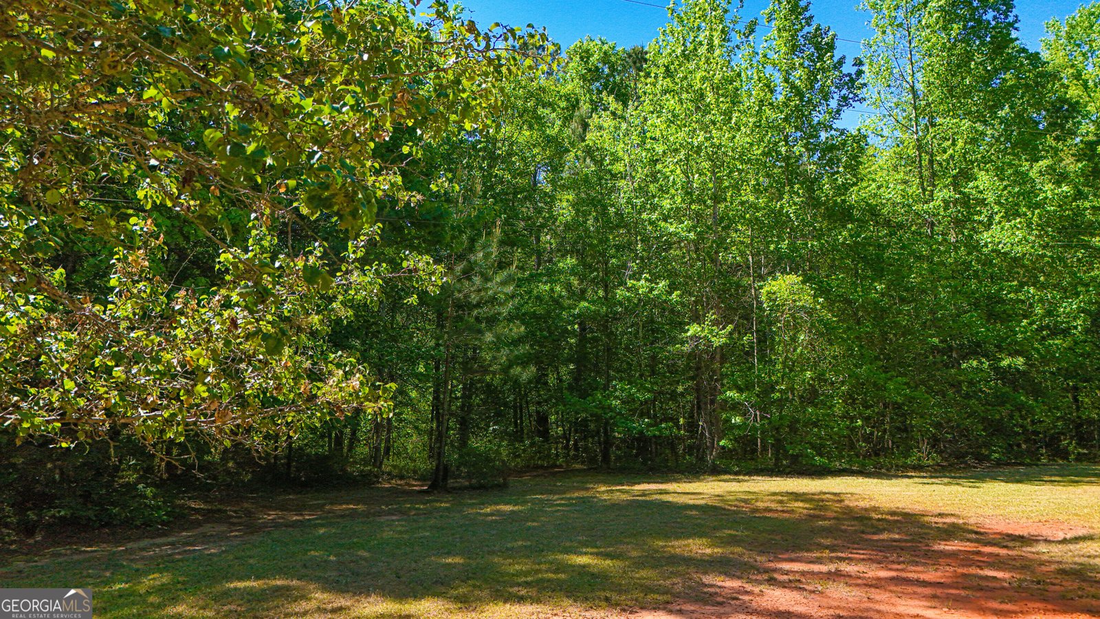 485 Natures Trail Forsyth - Photo 89