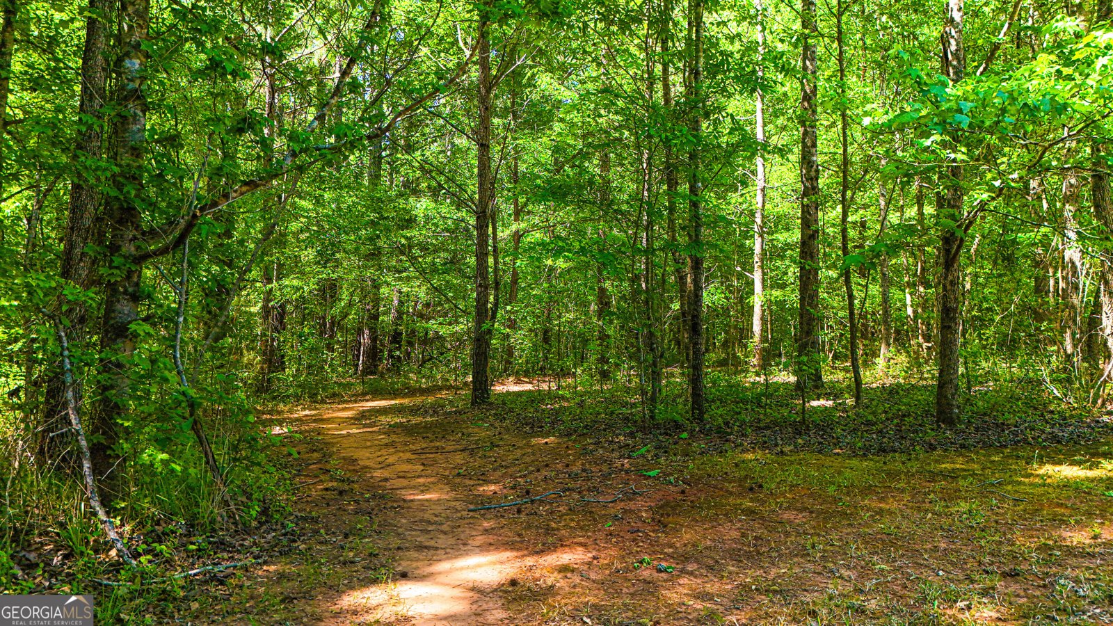 485 Natures Trail Forsyth - Photo 94