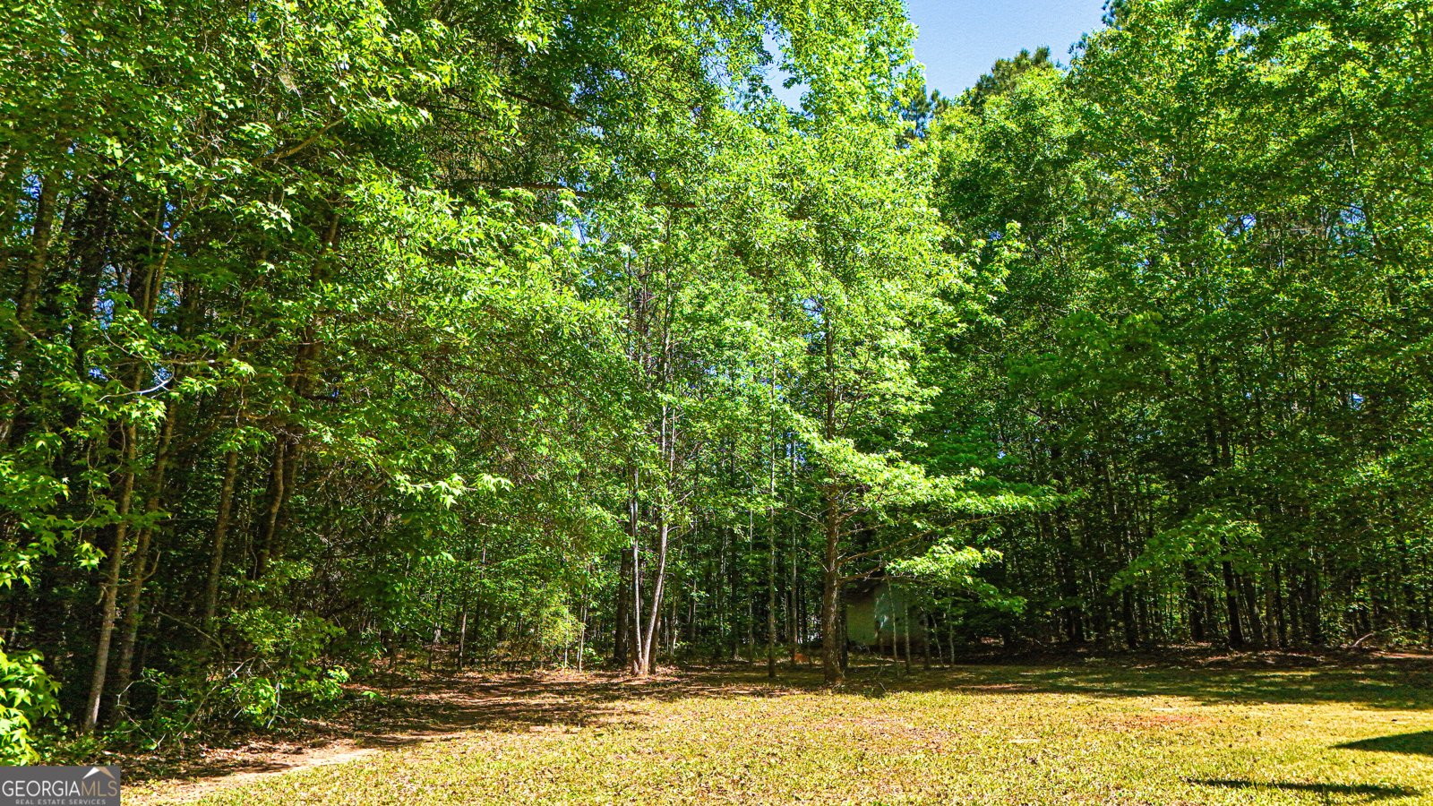 485 Natures Trail Forsyth - Photo 95