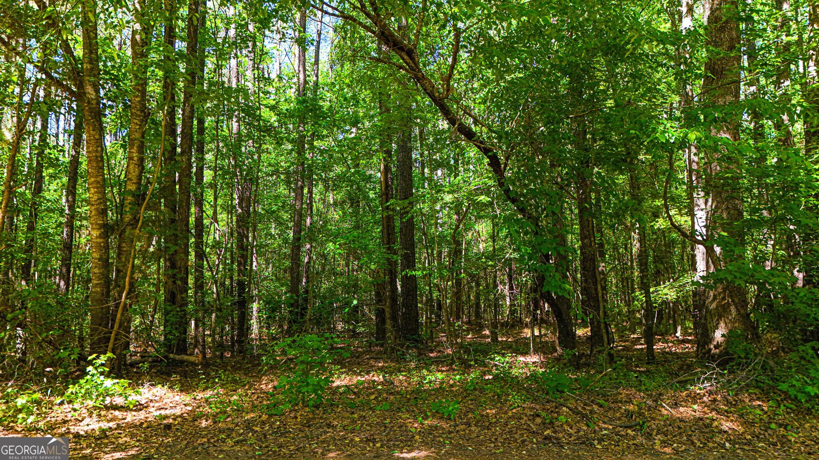 485 Natures Trail Forsyth - Photo 96