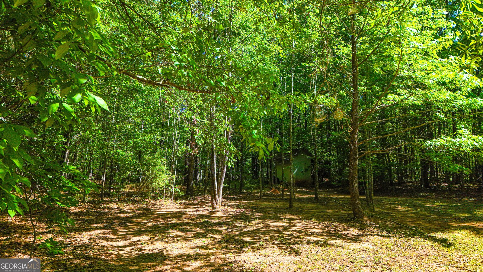 485 Natures Trail Forsyth - Photo 97